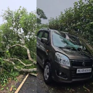 Kerala news