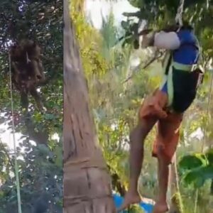 Kerala news