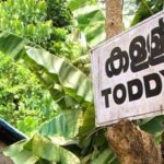 കള്ളിന് വീര്യം കൂട്ടാന്‍ ചുമയ്ക്കുള്ള കഫ് സിറപ്പ് ; ഷാപ്പുകളുടെ ലൈസന്‍സ് റദ്ദാക്കി