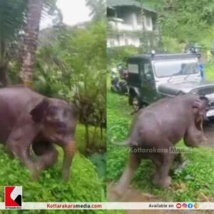 Kerala news