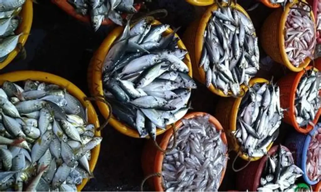 Aryanad fish market Thiruvananthapuram Kerala